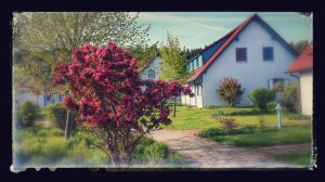 Bild 7: Insel Rügen; Apartment Sommerfeld (Typ A); W-LAN; 400 m vom Strand