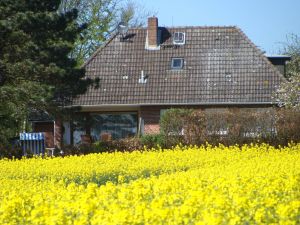 Bild 13: ideale Lage am Naturschutzgebiet für Mensch und Hund,'Ferienhaus zur Birk'