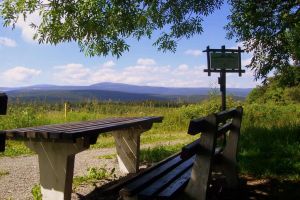 Bild 17: Kleine Ferienwohnung Ebert&Green im Erzgebirge