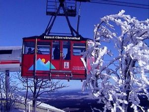 Bild 10: Kleine Ferienwohnung Ebert&Green im Erzgebirge