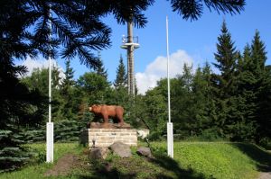 Bild 13: Kleine Ferienwohnung Ebert&Green im Erzgebirge