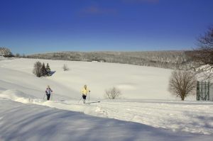 Bild 24: Kleine Ferienwohnung Ebert&Green im Erzgebirge