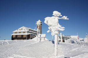 Bild 27: Kleine Ferienwohnung Ebert&Green im Erzgebirge