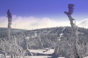 Bild 28: Kleine Ferienwohnung Ebert&Green im Erzgebirge