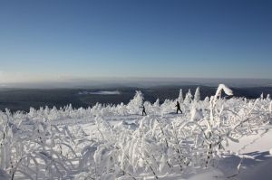 Bild 29: Kleine Ferienwohnung Ebert&Green im Erzgebirge