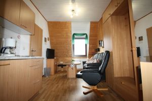 Bild 3: Kleine Ferienwohnung Ebert&Green im Erzgebirge