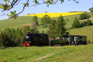 Bild 11: Kleine Ferienwohnung Ebert&Green im Erzgebirge