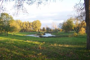 Bild 18: Ferienwohnung Familie Hempel an der Vorpommerschen Boddenküste