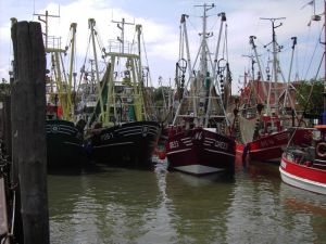 Bild 11: Ihre Urlaubsadresse Wohnung Heuboden "Haus Brüninghof"