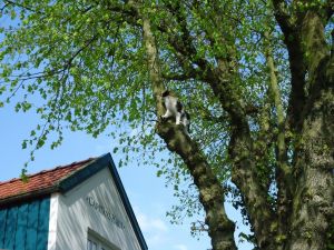 Bild 14: Ihre Urlaubsadresse Wohnung Heuboden "Haus Brüninghof"