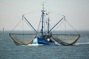 Bild 13: Ihre Urlaubsadresse Wohnung Heuboden "Haus Brüninghof"