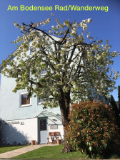 Bild: 60qm Ferienwohnung Fam. Bill, Radolfzell Bodensee, 2 Schlafzi., bis 5 Pers.
