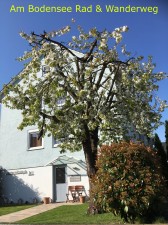 Bild: 40qm Ferienwohnung, Fam. Bill, Radolfzell am Bodensee, bis 3 Personen