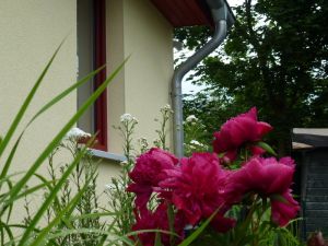 Bild 7: Kinder- u. hundefeundliches Ferienhaus in Binz, hell u. modern, mit Garten