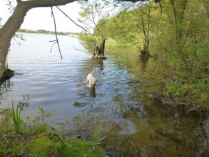 10 Minuten Fußweg zum Schmachter See