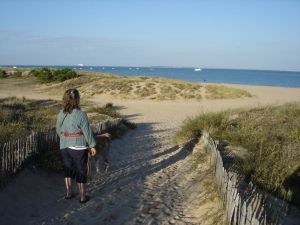Am wunderschönen Strand der Ile d'Oléron (rd. 35 km)