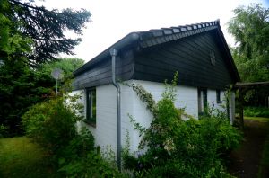 Bild 3: Ferienhaus "Natürlich Vulkaneifel" zur Alleinnutzung, ruhig und naturnah