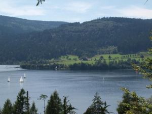 Blick auf den Schluchsee Mit dem Fahrrad um den Schluchsee, oder einfach um den See wandern.Eine tolle Freizeitbeschäftigung mit viel frischer Luft und Spaß für die ganze Familie.