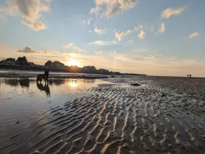 Bild 14: Ferienhaus "Strandmöwe" nur 50 m vom Strand entfernt in Denneville.