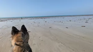 kilometerlanger Sandstrand