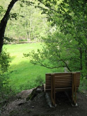 Ruhe und Erholung im schönen Alfbachtal am 2-Bäche-Pfad.