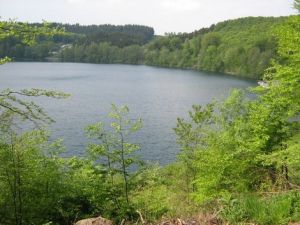 Pulvermaar - See Das Pulvermaar in Gillenfeld ist eines der vielen Maare der Vulkaneifel. Die Augen der Eifel!
Schwimmen, Boot fahren, Cafe, wandern...