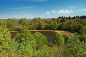 Winsborn Kratersee Natur pur am Winsborn Kratersee. Daran angeschlossen finden Sie den Vulkanerlebnispark Mosenberg, welcher viele Informationen über die Entstehung der Vulkaneifel wieder gibt.