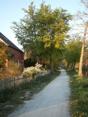 Hier können Sie nach Herzenslust radfahren, joggen, Hund gassi führen, angeln, spazieren gehen direkt vor der Tür.
