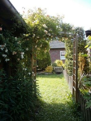 Garten hinter dem Haus mit Blick zum Nachbarhaus