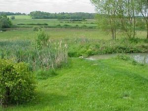 vom Garten ins Tal