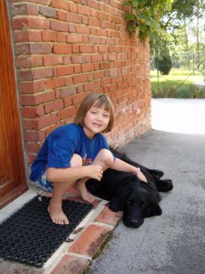 Hund zum Kuscheln