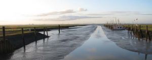 Bild 3: Süderhus - Süderhafen auf Nordstrand, Weltnaturerbe Wattenmeer, Nordsee