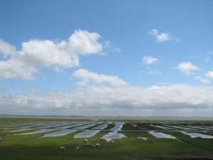 Bild 18: Süderhus - Süderhafen auf Nordstrand, Weltnaturerbe Wattenmeer, Nordsee