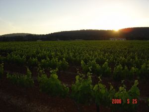 Bild 5: Kleines originelles Rebhaus mit Tierhgehege in der Provence verte