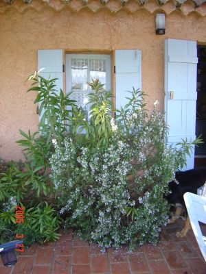 Bild 10: Kleines originelles Rebhaus mit Tierhgehege in der Provence verte