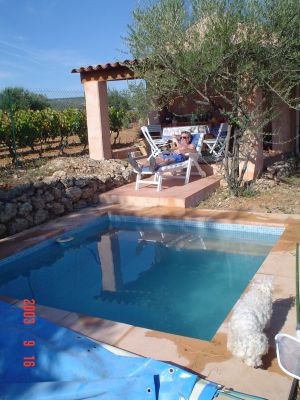 Bild 2: Kleines originelles Rebhaus mit Tierhgehege in der Provence verte