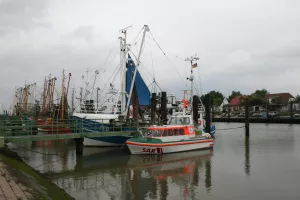 ein schöner Strand oder Deichspaziergang, nur ca. 2Km entfernt.