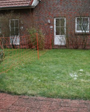 Damit auch Ihr Hund mal alleine vor die Tür kann