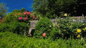 Bild 21: Klaushausen - Ferienwohnung TRAUMLAND in Überlingen am Bodensee