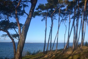 Die Steilküste bei Beckerwitz