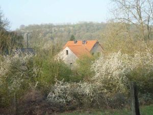 Außenansicht aus der Ferne