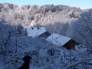 Bild 3: Ferienwohnung Delattre in der Südeifel