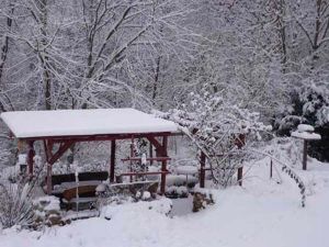 Winterblick in den Garten