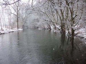 Winter an der Prüm