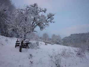 Ausblick in Winterlandschaft