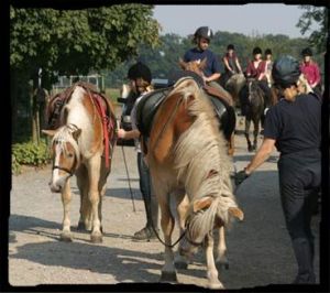 Bild 8: Ferienwohnung bis 6 Personen mit Reitschule in NRW am Niederrhein
