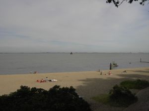 für Hunde zugänglich