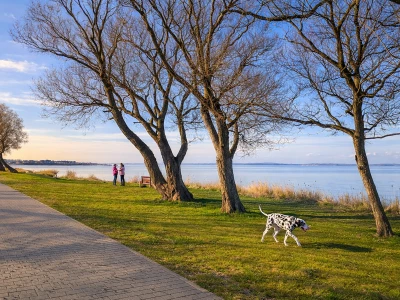 Ferienwohnung in Wiek auf Rügen: Fewo 500 m zum Wasser, Balkon, Terrasse, Garten mit Grillecke, 2 Fahrräder!