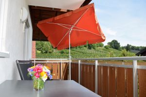 Bild 12: Ferienwohnung Pfänder Lindau/Bodensee