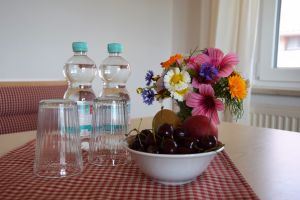 Bild 11: Ferienwohnung Pfänder Lindau/Bodensee